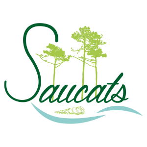 logo-saucats-site